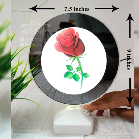 Small Round Mirror
